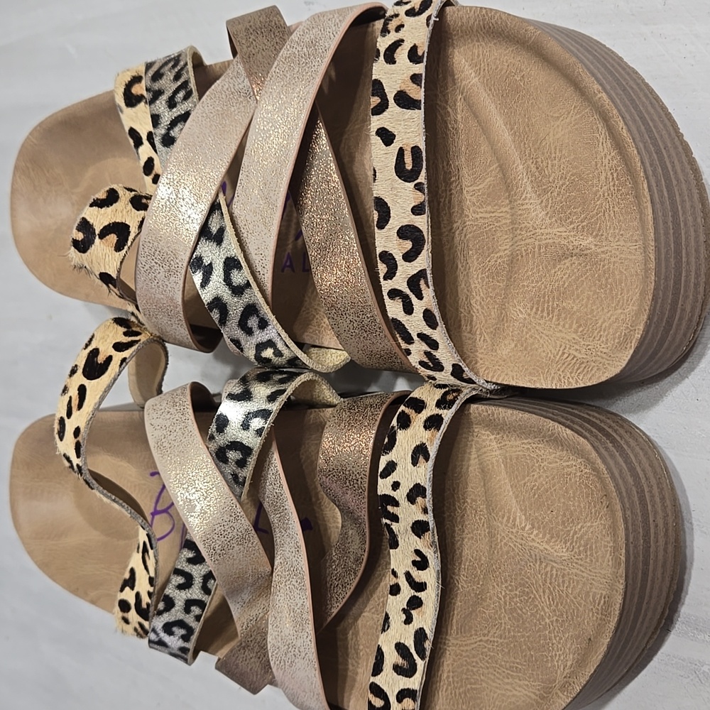 Leopard Blowfish Malibu Slides 8.5